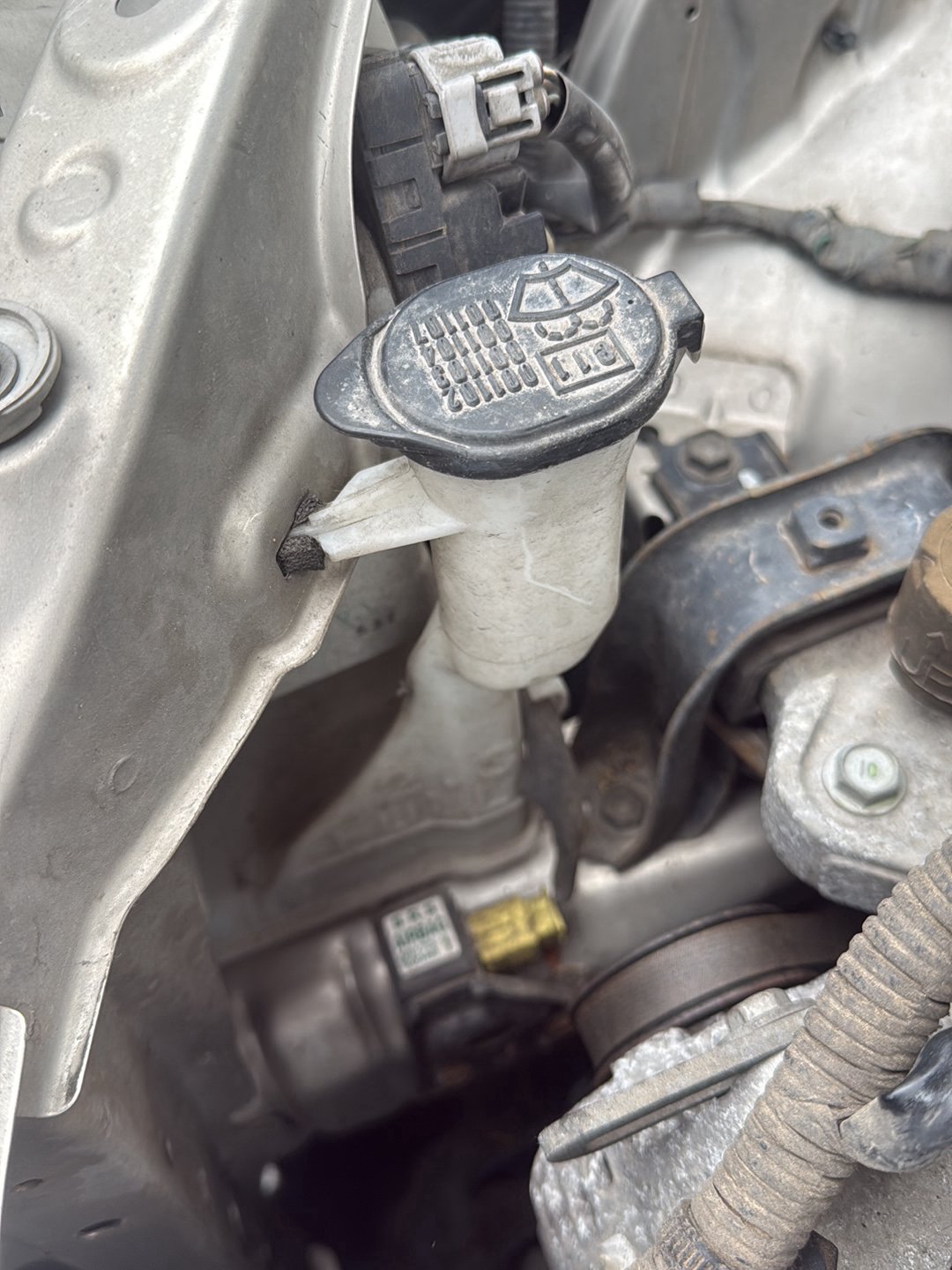 2003-2011 Toyota Raum Z20 NCZ20 - Washer Bottle PN: