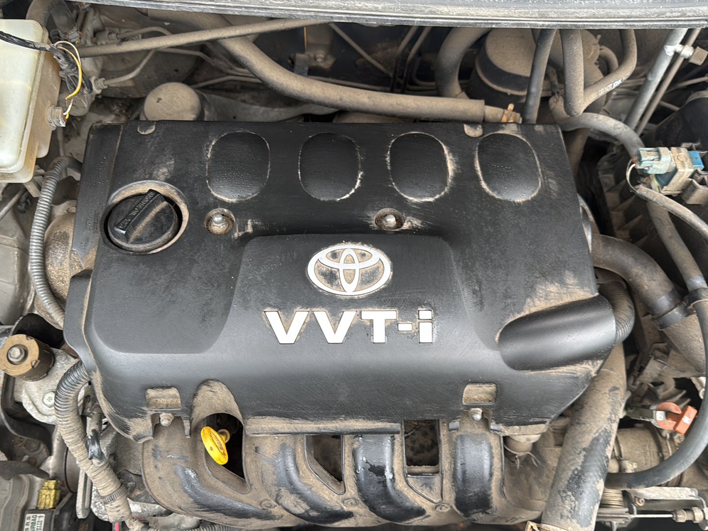 2003-2011 Toyota Raum Z20 NCZ20 - Engine Cover PN: