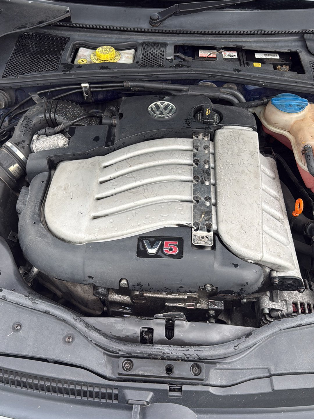 1998-2005 Volkswagen Passat- Engine Cover PN:
