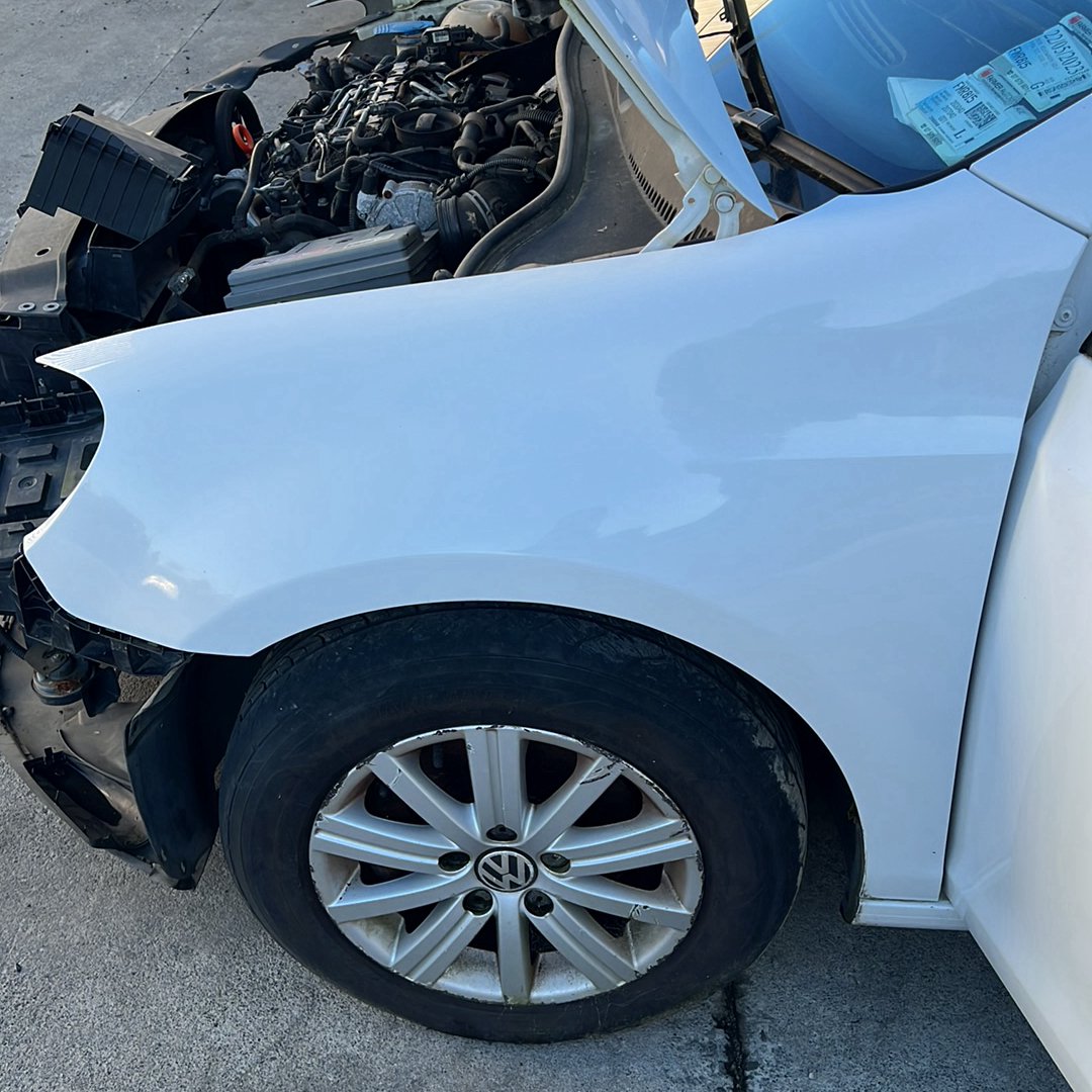 Oct 2008 to Mar 2013- Volkswagen Golf Gen 6 Hatchback- Left Front Guard