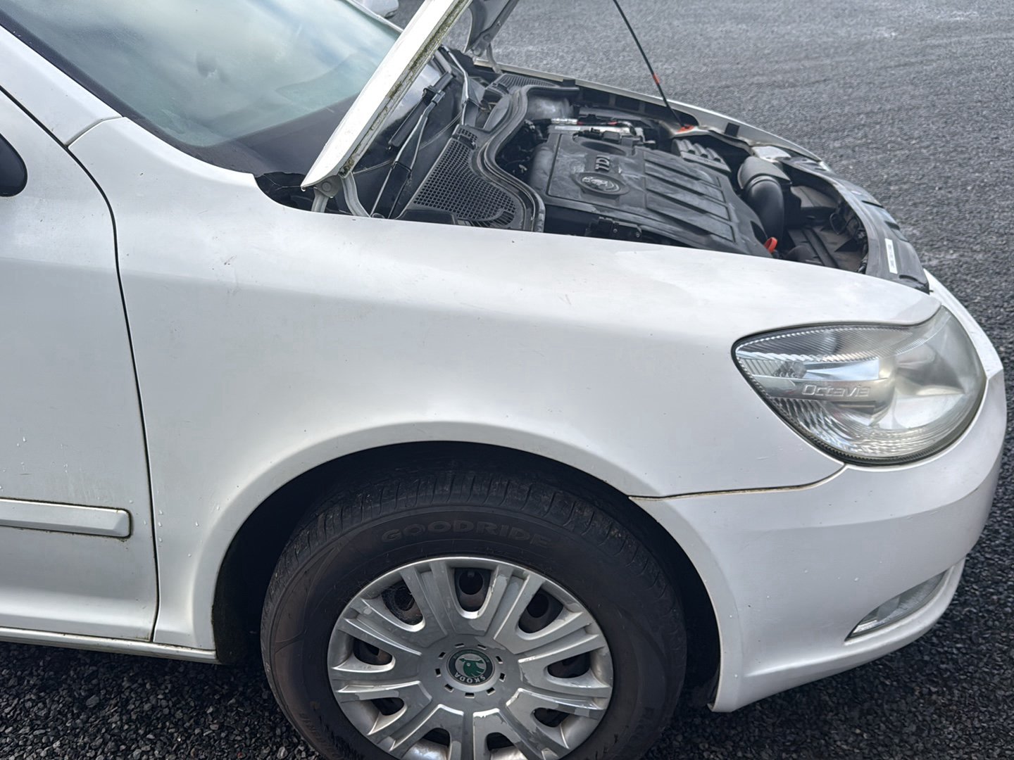 2012-2020 Skoda Octavia 5E - Right Front Guard PN:
