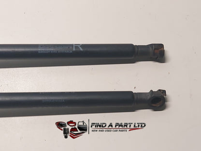 2013 Ford Territory SZ - Tailgate Strut Pair PN: 3R73A42105AA