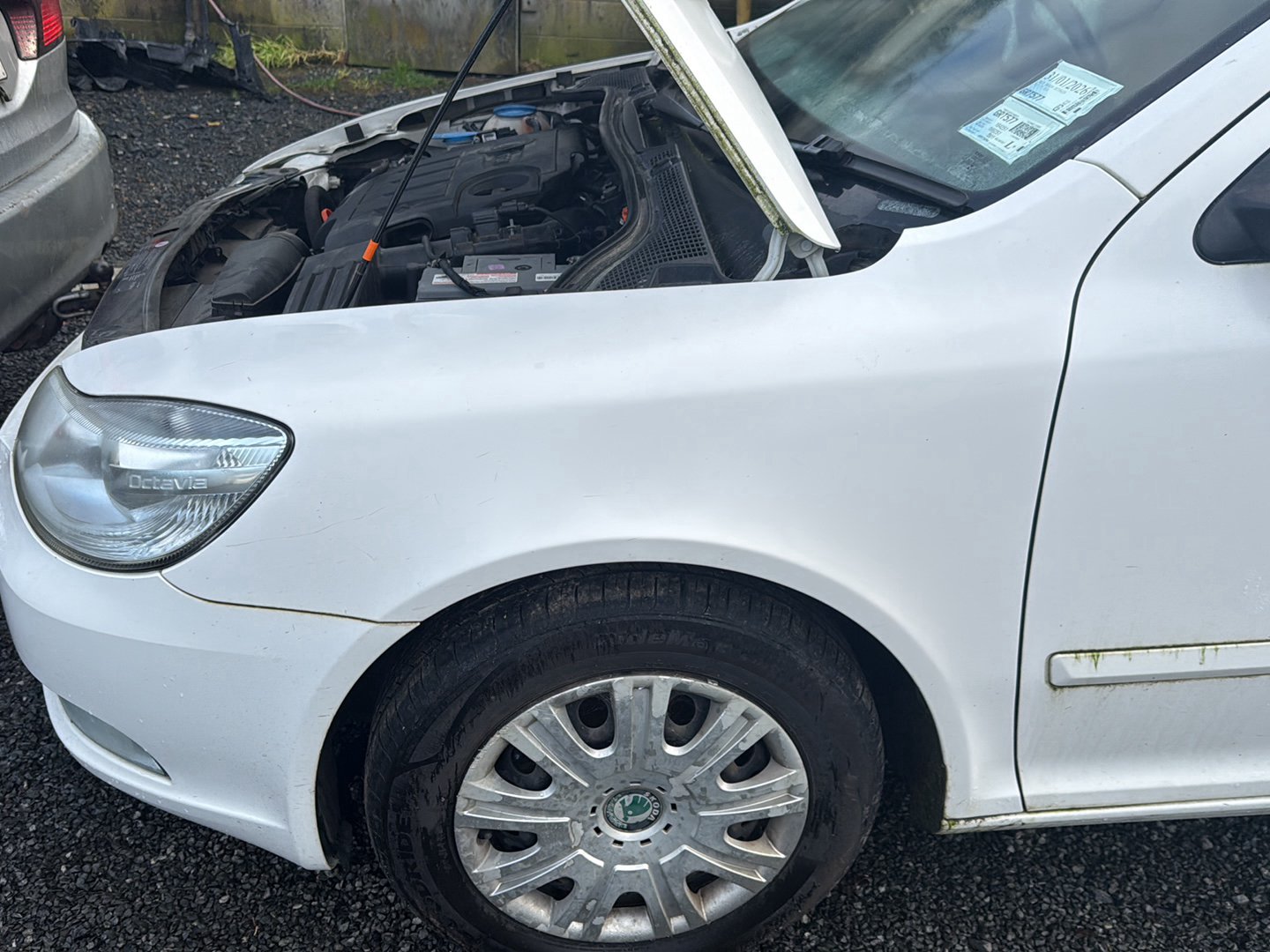 2012-2020 Skoda Octavia 5E - Left Front Guard PN: