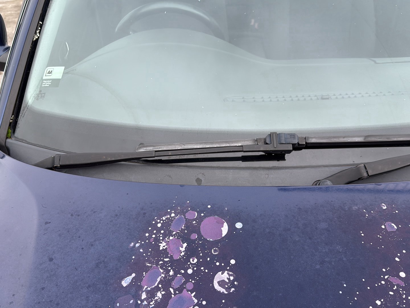 1998-2005 Volkswagen Passat- Wiper Arm Pair PN:
